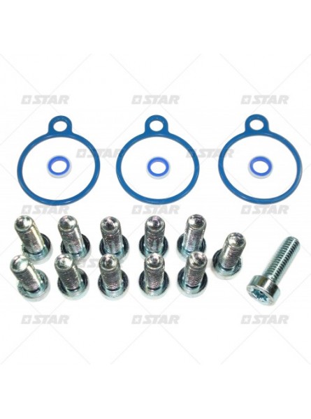 Ремкомплект C/R SIEMENS Piston X39-800-300-004Z