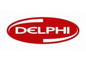 1-313 Delphi Pompa Elemanı