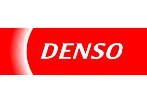 23670-0L110 Denso Common Rail Enjektör (Toyota 295050-0810)